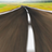 solutionhaulage's profile image