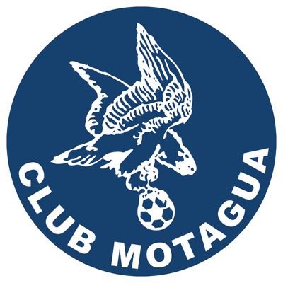Arquitecto de Software, especialista en Proyectos de tecnología y de comercio exterior. Seguidor del Motagua de Honduras.