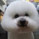 、 (@11smn21kT) Twitter