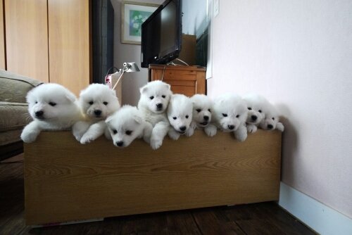 fallfree1011's profile picture. 물지않아요