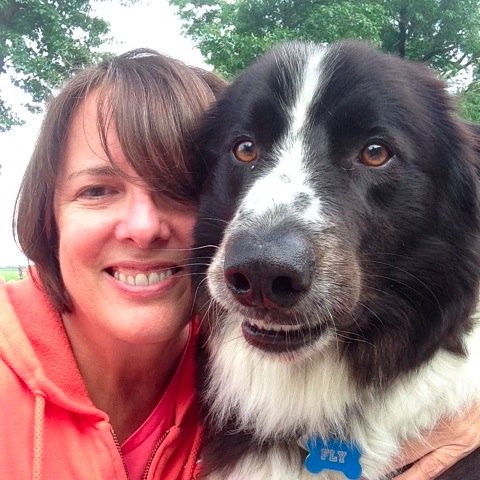 HomePetWatch's profile picture. 