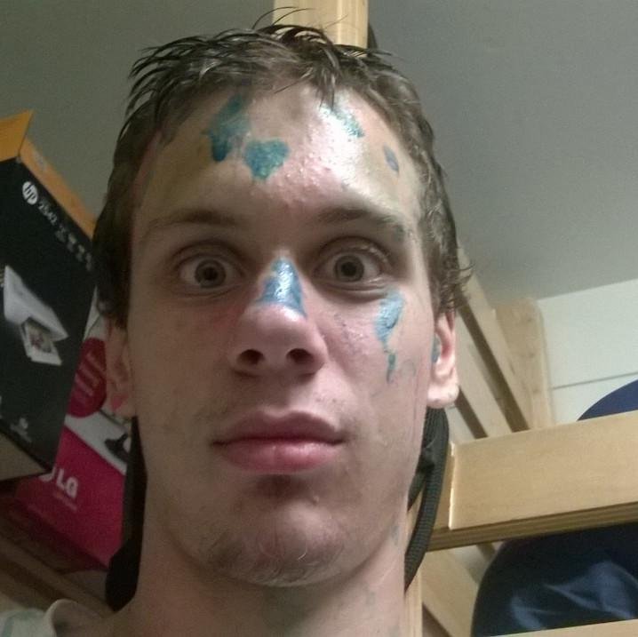 Karl_the_llama's profile picture. i no know twitter