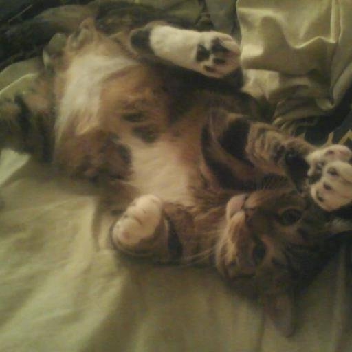 Funny, kind, strange, introspective, crafty, wisely stupid, generous, catlover, lost, found, loved.