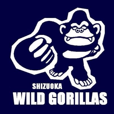 静岡大学バスケットボール部(静岡キャンパス)のアカウントです。練習日程、試合結果などを発信していきます。練習参加、練習試合等の問い合わせはDMにて受け付けております。お気軽に連絡してください。