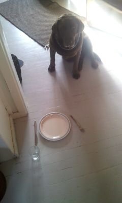 elite_ephemera's profile picture. 