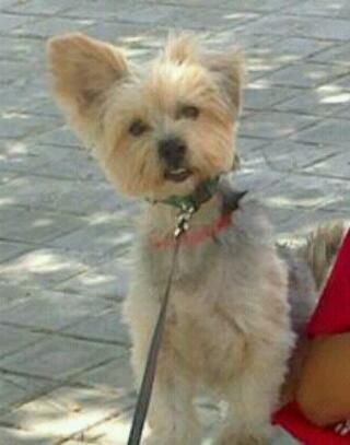 espe29getafe's profile picture. 