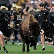 Husband, Father, Real Estate Broker and big fan of the CU Buffs!!!