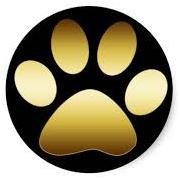CHS_Guidance3 Profile Picture