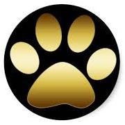 The official Twitter account of Cullman High School's Guidance Department.