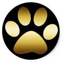 CHS Guidance (@chs_guidance3) 's Twitter Profile