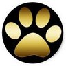 CHS_Guidance3's profile picture. The official Twitter account of Cullman High School's Guidance Department.          Go Bearcats!