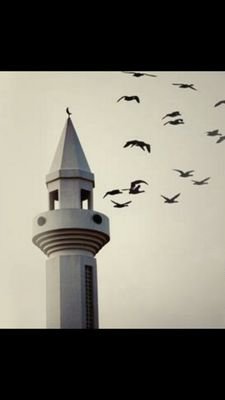 Abdoolah7a's profile picture. حساب جاري لجدي ... عبدالله حمد الميمي رحمه الله ... لا إلا الله محمدا رسول الله