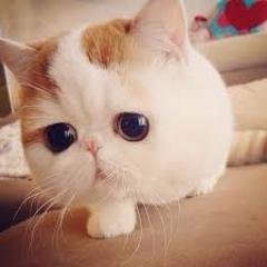I LOVE HAPPY DAY HA HA HA ^O^