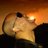 cool_joent's profile image