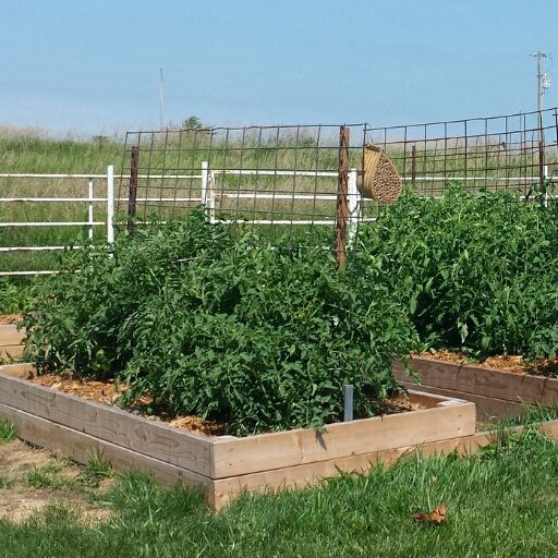 momof3slp's profile picture. Wife, mother of 3, pediatric speech language pathologist, organic gardener, lover of back roads and creating treasures with yarn.