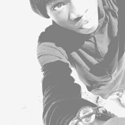 freshcode123451's profile picture. 