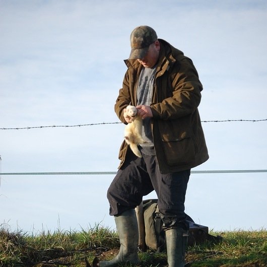 A hunter with a true obsession for all fieldsports,I contribute articles and photographs to the shooting times and the countryman's weekly as well as others