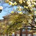 MSU Sociology Department (@msusociology) Twitter profile photo MSU Sociology Department (@msusociology) Twitter profile photo