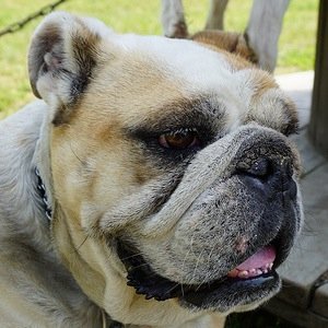 taranchino's profile picture. 