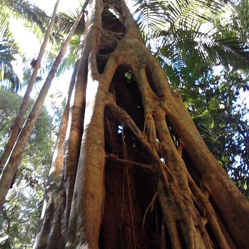 AStickens's profile picture. 