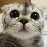 blackops2freek's profile picture. 