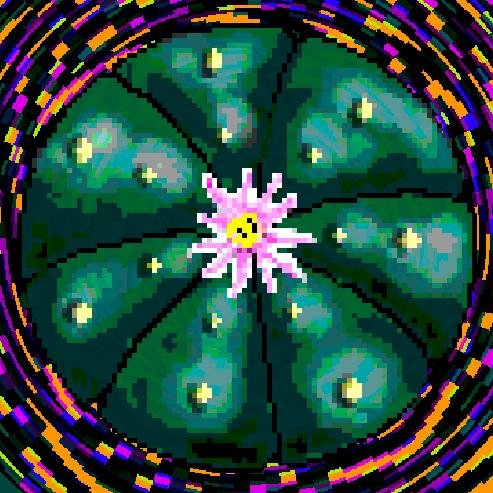 peyote_flower's profile picture. здесь весною не цветет пейот