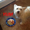 Forklifts.com - @fred_mancuso - Twitter