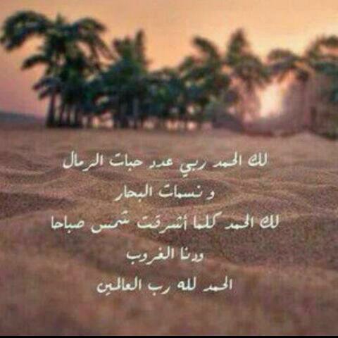 aroma505534's profile picture. (لا تدري لعلَّ اللهَ يُحدثُ بعد ذلك أمرًا )