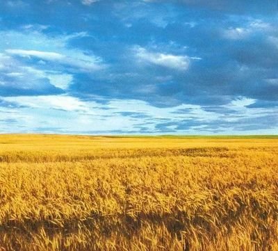 Glory to Ukraine!