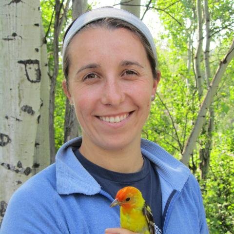 I'm a traveler, a writer, a rock climber, a birder, a reader, a mountain lover, a field biologist. I mostly just like being outside as much as possible.