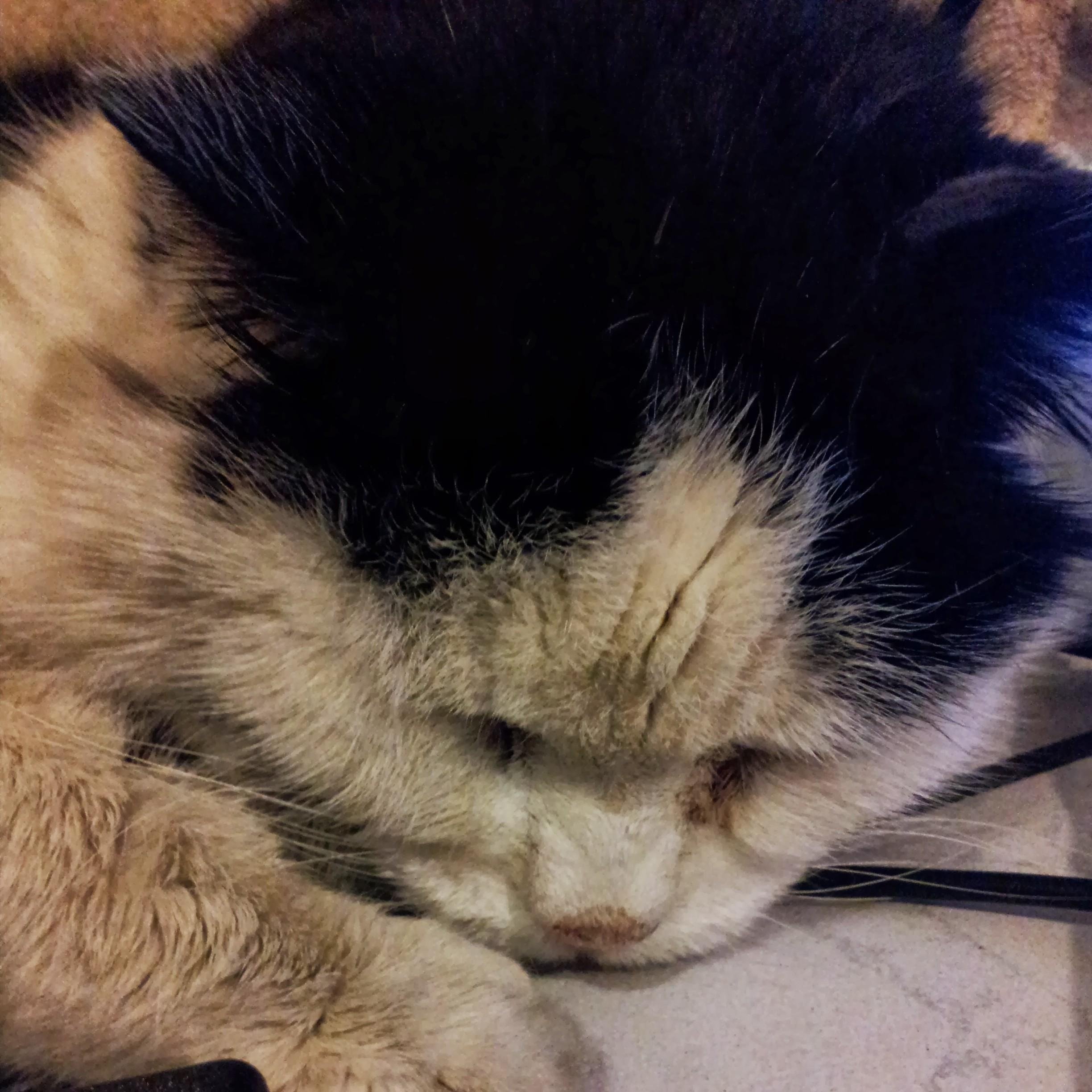 Envie de dormir.