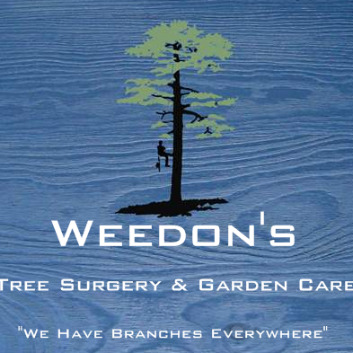 Professional Tree Surgeons and Arborists in Nottinghamshire and Surrounding areas