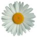 margherita lodato (@mgalo063) Twitter profile photo margherita lodato (@mgalo063) Twitter profile photo