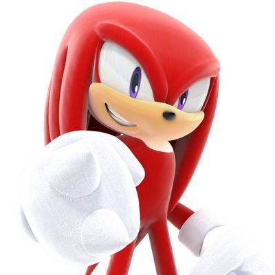 Echidna.