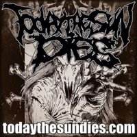 today the sun dies (@todaythesundies) 's Twitter Profile
