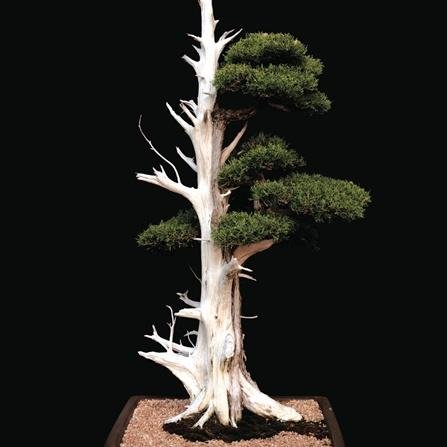 CLEVEREngine's profile picture. Creative solutions start with Curiosity. Engineer, Researcher, Developer in Consumer Products and Healthcare.