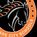 DelawareCity Schools (@DCS_Pacers) Twitter profile photo