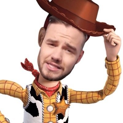 woody from toy story ay