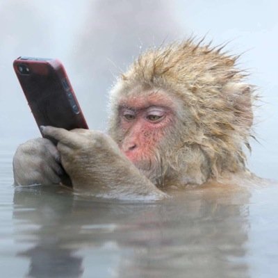 carlos_albertor's profile picture. Un día como hoy, pero hace 4 años, faltaban 4 años para que fuera hoy.