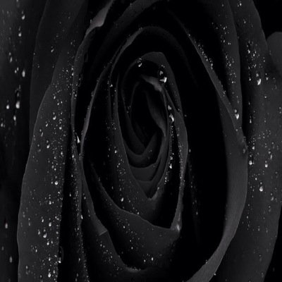 lisanath96's profile picture. 