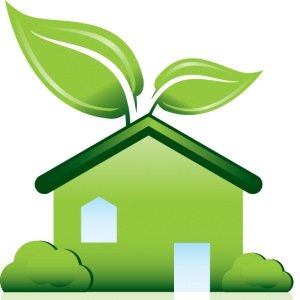 Our research will focus on the practicality of using commercial aquaponics to farm a variety of flowering crops instead of using old artisanal soil methods.
