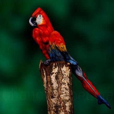 manriquesos's profile picture. Vengo a compartirles las conversaciones más destacadas que tengo conmigo mismo