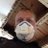 colingoodersx's profile image