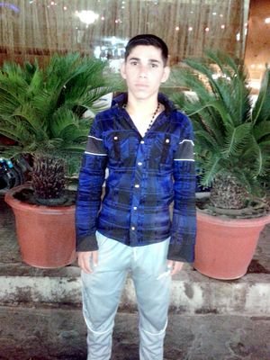 ‏شفت عصفور ميت بس كل جرح مابيه حرت هاي المنيه شلون ماخذته رفعت راسي الشجره شفت عش مهجورطلع هذه السبب والفركه كاتلتله