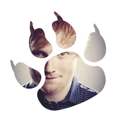 News about Ed & his music! Follow for updates & news! We are Malieka, Rita, Alexa, Abby, Michelle :)