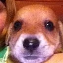 Libby Davis - @Libby65641795 - Twitter