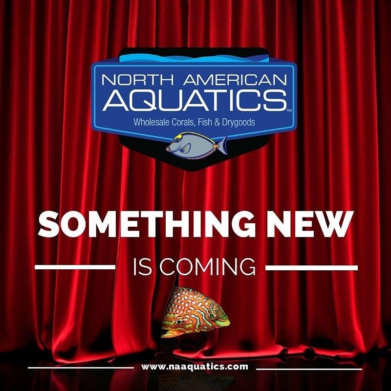 NAAquaticsLLC's profile picture. Wholesale Marine Fish and Corals. The highest quality out of Hawaii, Indonesia, Australia and the Caribbean! Also distributing drygoods and equipment.