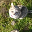 Barbara Galvez - @bagalvez07 - Twitter