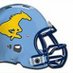 Coach O (@stangswrguts) Twitter profile photo