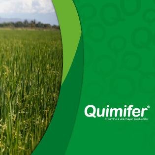 Quimifer's profile picture. 